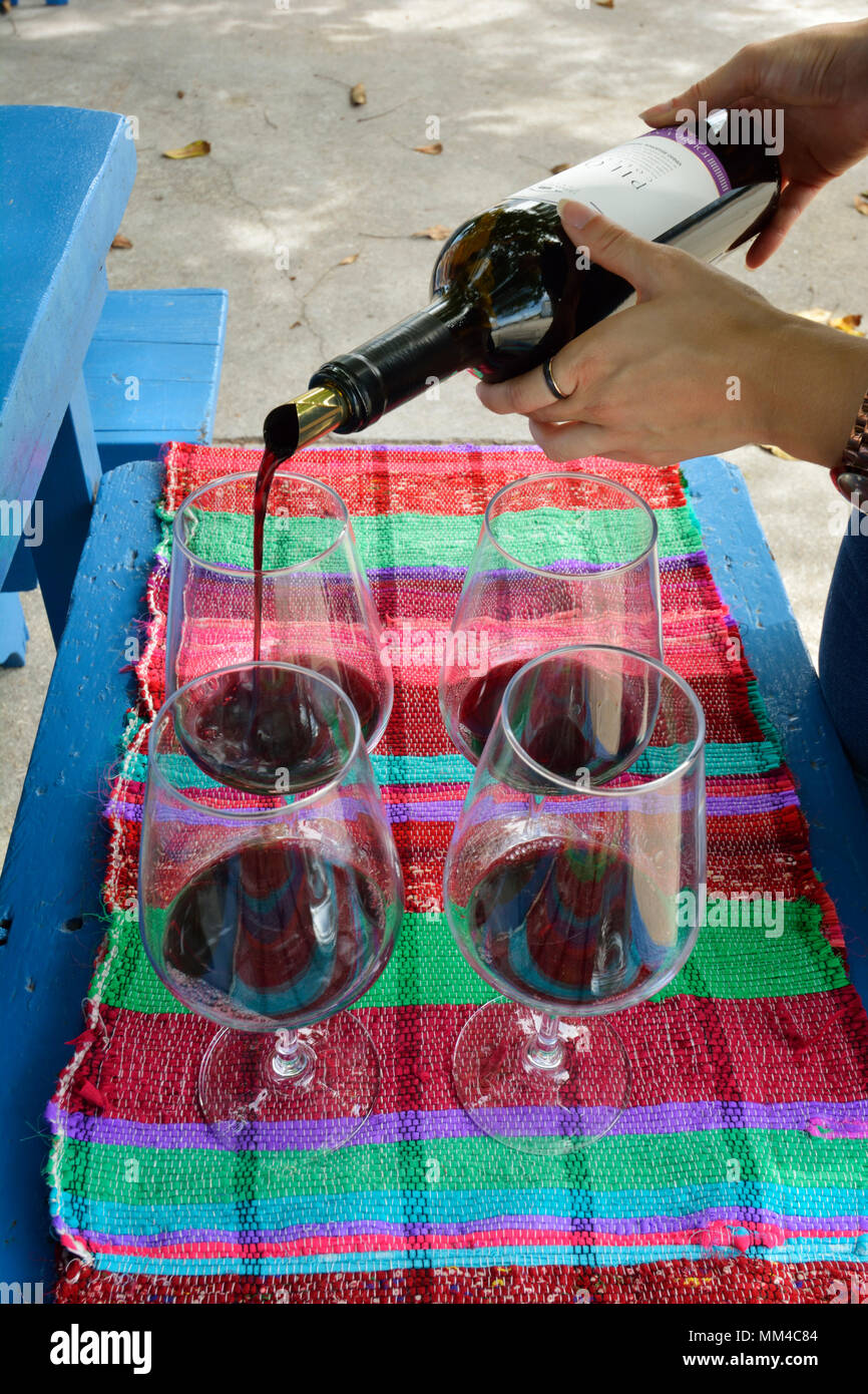 Wine tasting at Quinta do Piloto. Palmela, Portugal Stock Photo