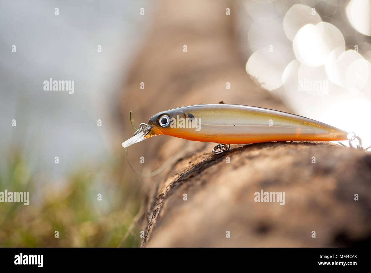 Jerk bait hi-res stock photography and images - Alamy