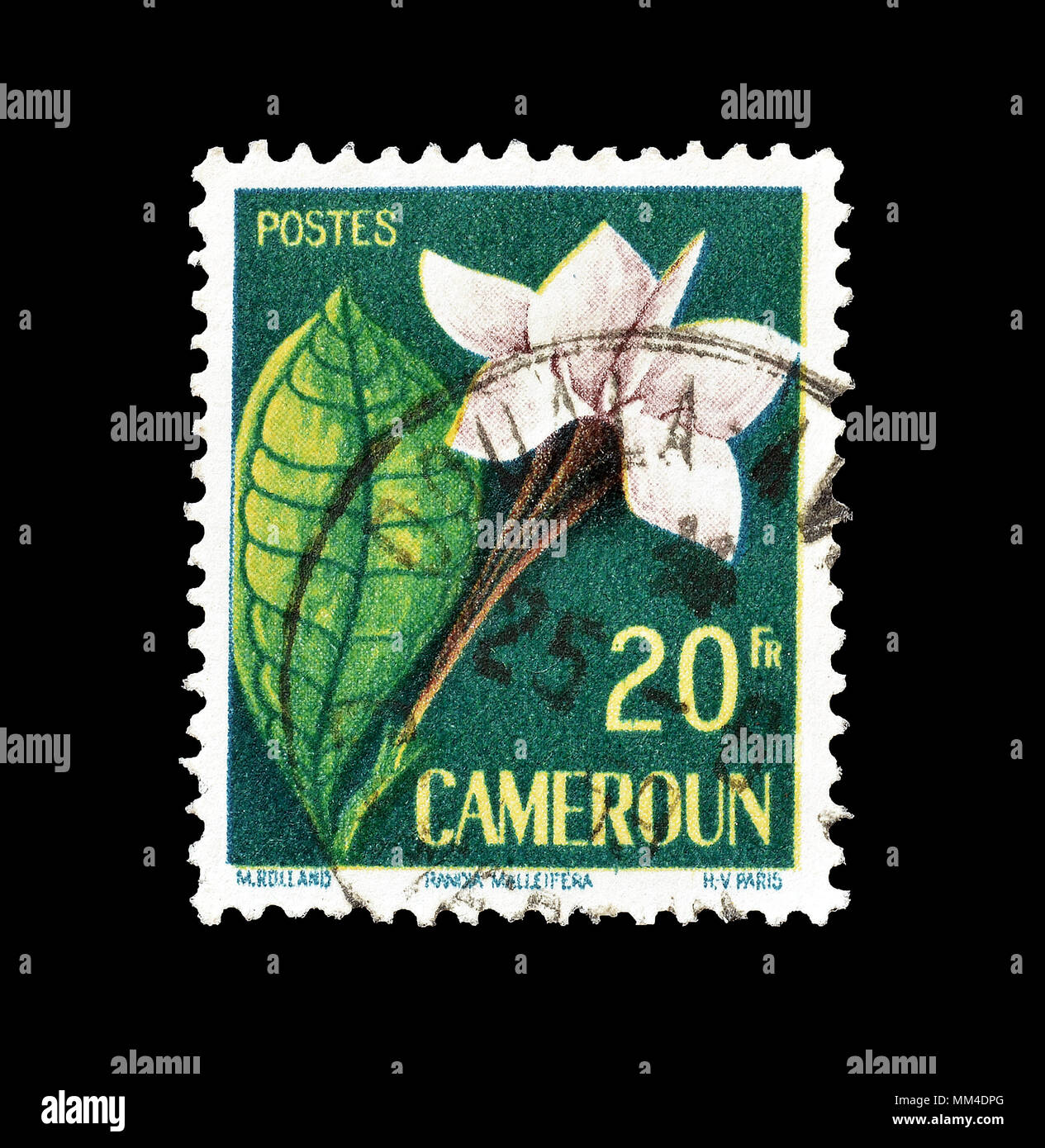 Cancelled postage stamp printed by Cameroon, that shows Randia malleifera, circa 1959. Stock Photo