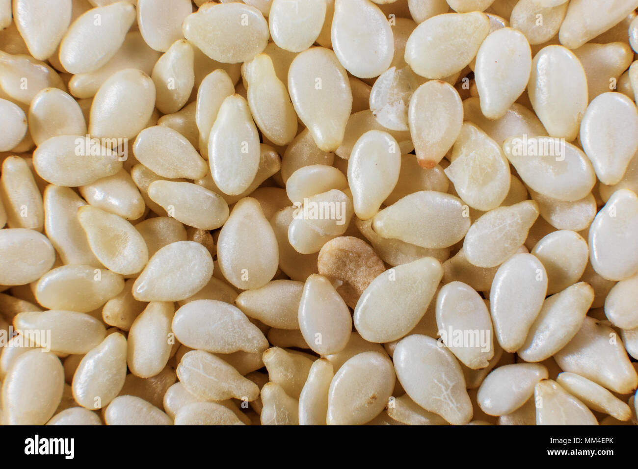 image background of small sesame seeds closeup Stock Photo