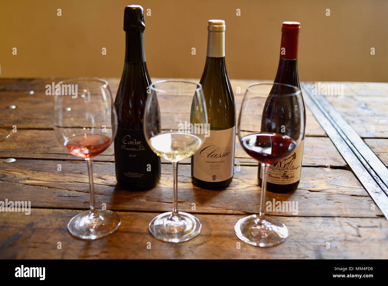 Fine wines on display at tasting, white, rose and red wine with bottles