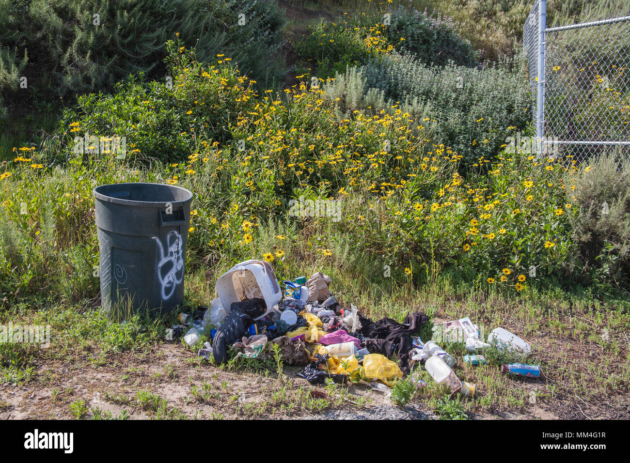Trash can and trash in Ballona Wetlands, Playa Vista, Los Angeles, California Stock Photo
