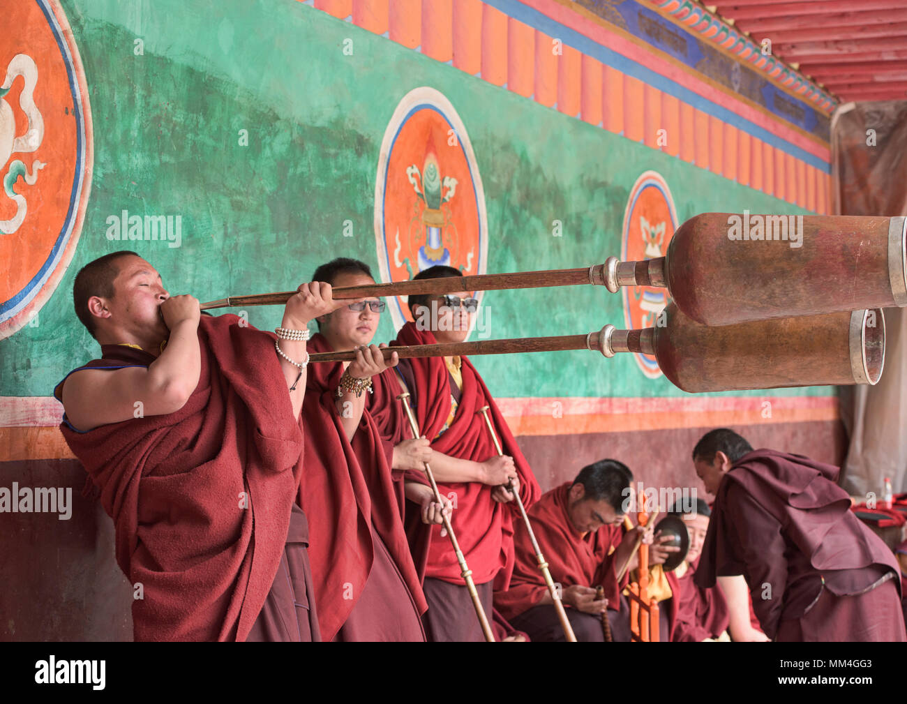 Tibetan monks playing long horns at the Jinganqumo purification festival in Dege, Sichuan, China Stock Photo