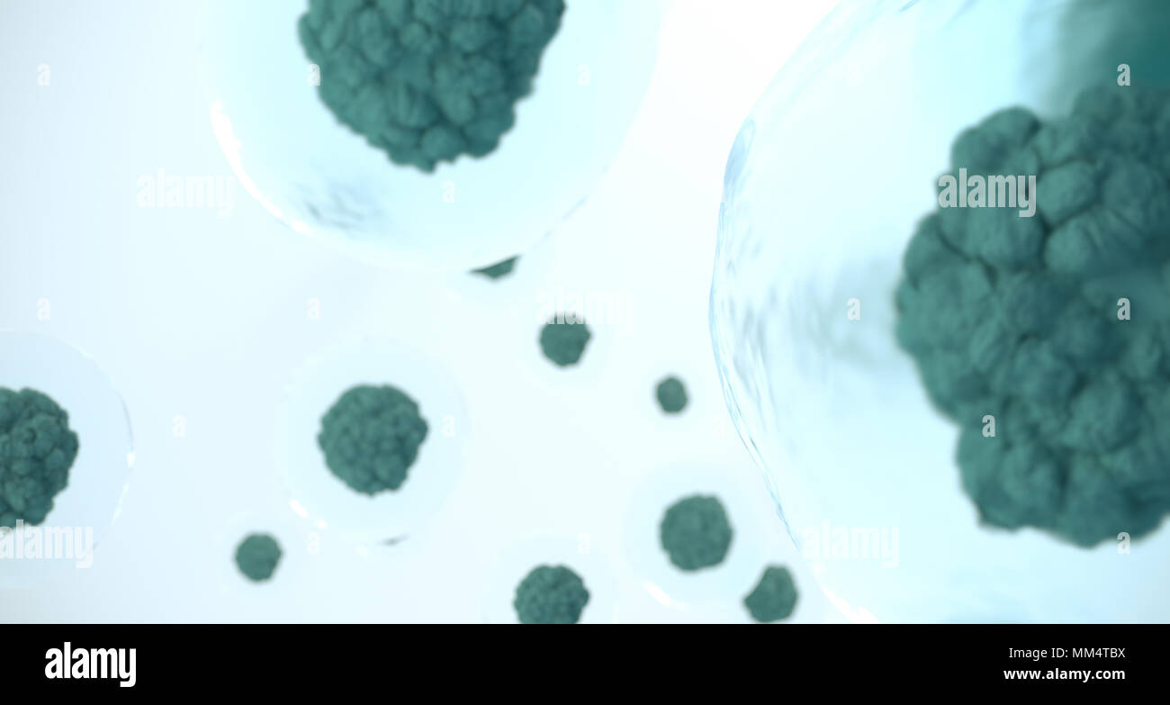 Human sperm egg cells hi-res stock photography and images - Alamy
