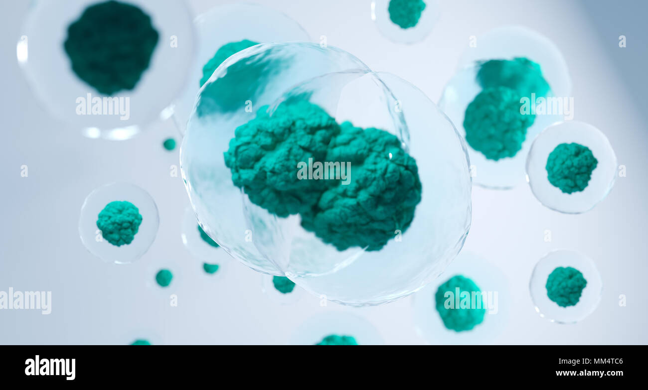 Human sperm egg cells hi-res stock photography and images - Alamy