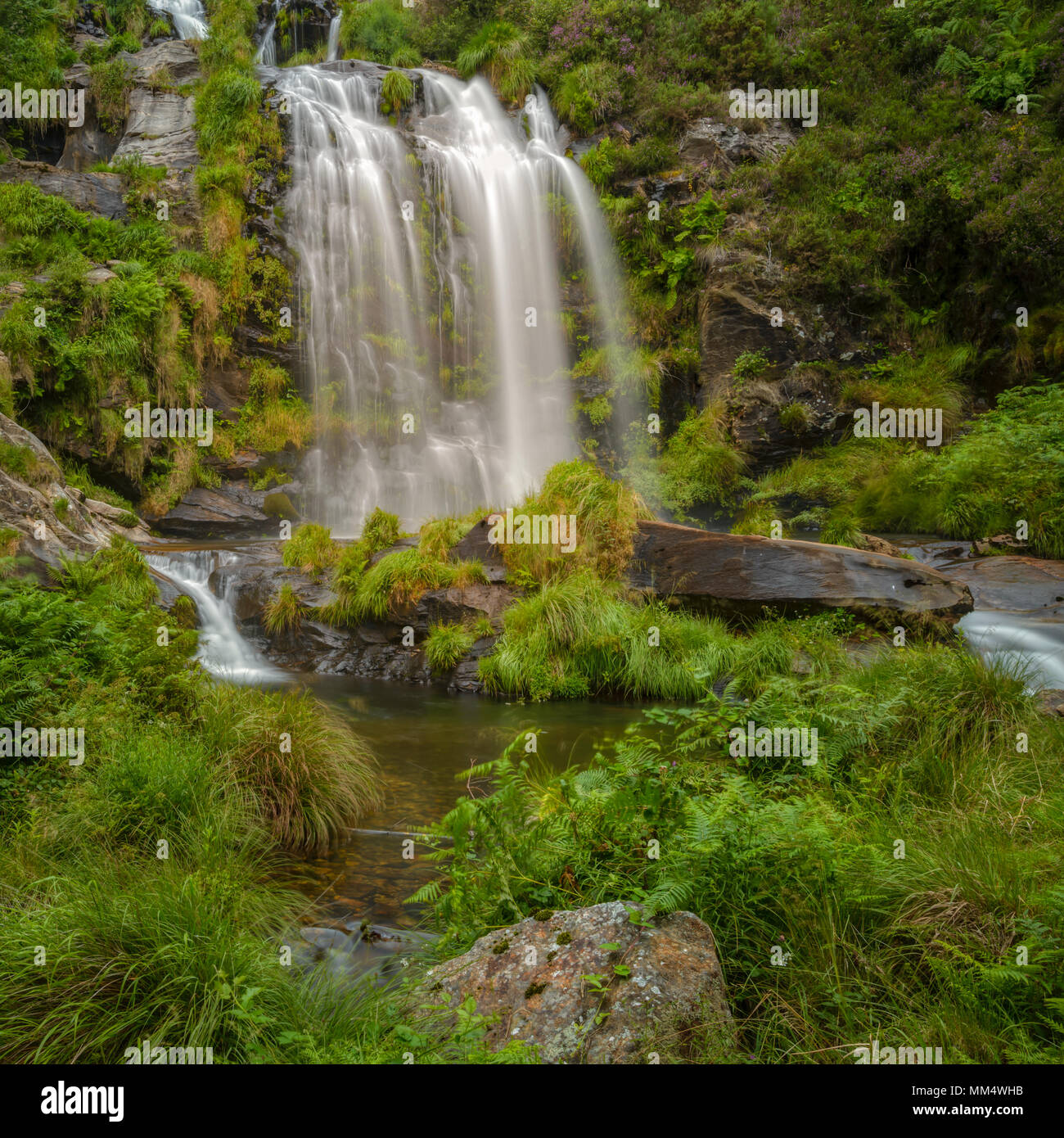 The Xestosa waterfall, border between Muras and Ourol, in the Xistral mountain range, Lugo, Galicia Stock Photo