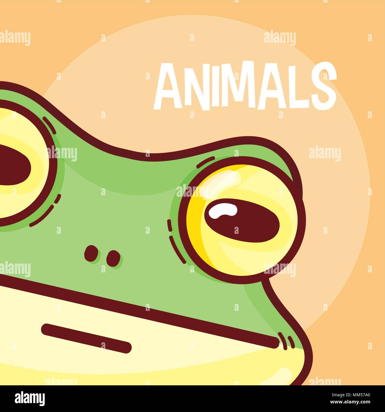 Frog animal cartoon Stock Vector Image & Art - Alamy