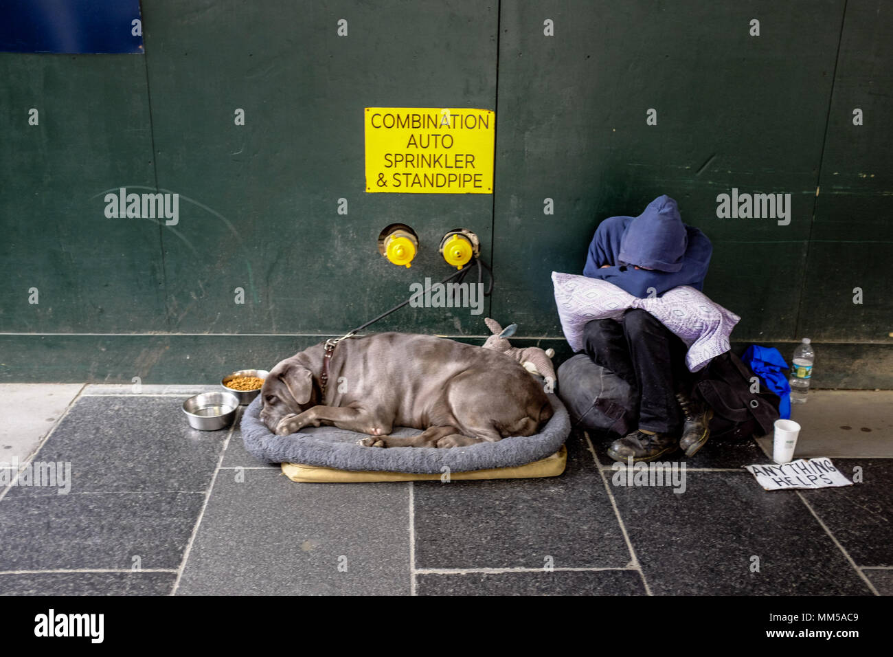 A homeless man and his dog rest during the day in Manhattan, New York City May 6, 2018. Stock Photo