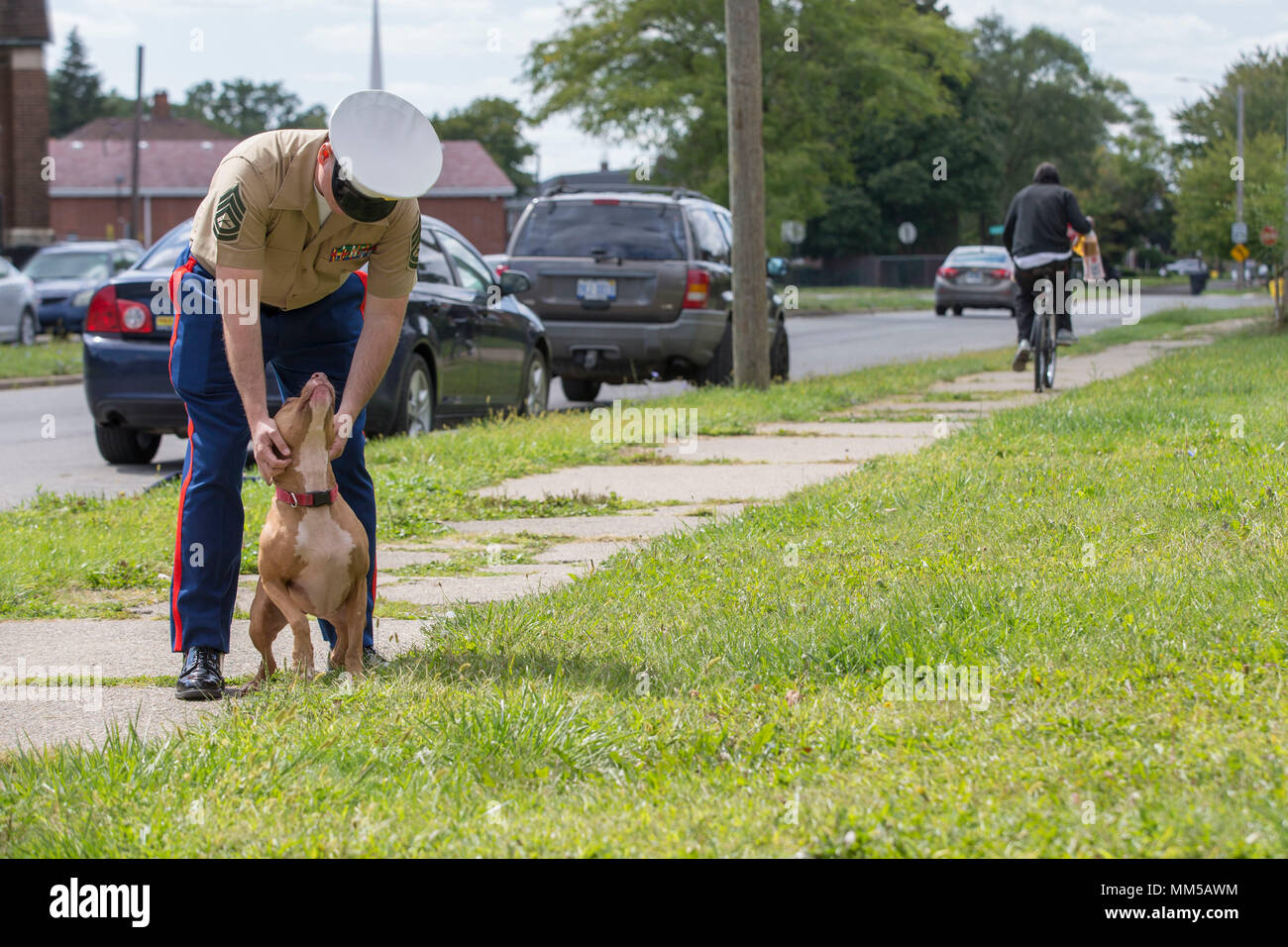 U.S. Marine Gunnery Sgt. William K. Weaver, a native of McRae, Az., logistics chief with 2nd Battalion, 11th Marine Regiment, 1st Marine Division, interacts with a dog during Marine Week Detroit, Sept. 9, 2017. Marine Week provides an opportunity for the Marine Corps to visit a city that normally doesn’t have opportunities to interact with Marines on a regular basis. (U.S. Marine Corps photo by Lance Cpl. Cristian L. Ricardo) Stock Photo