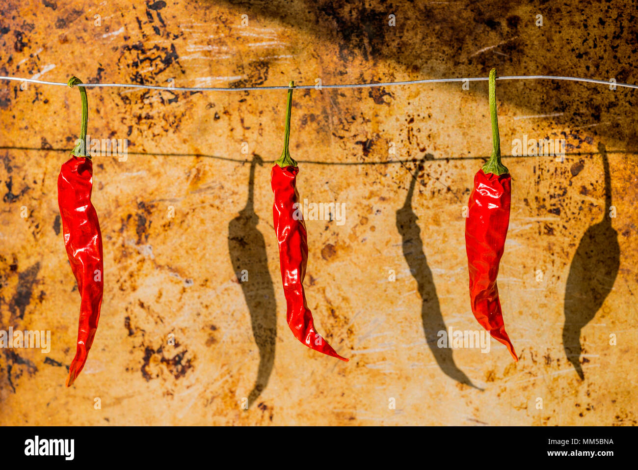 Dried red chili peppers Stock Photo