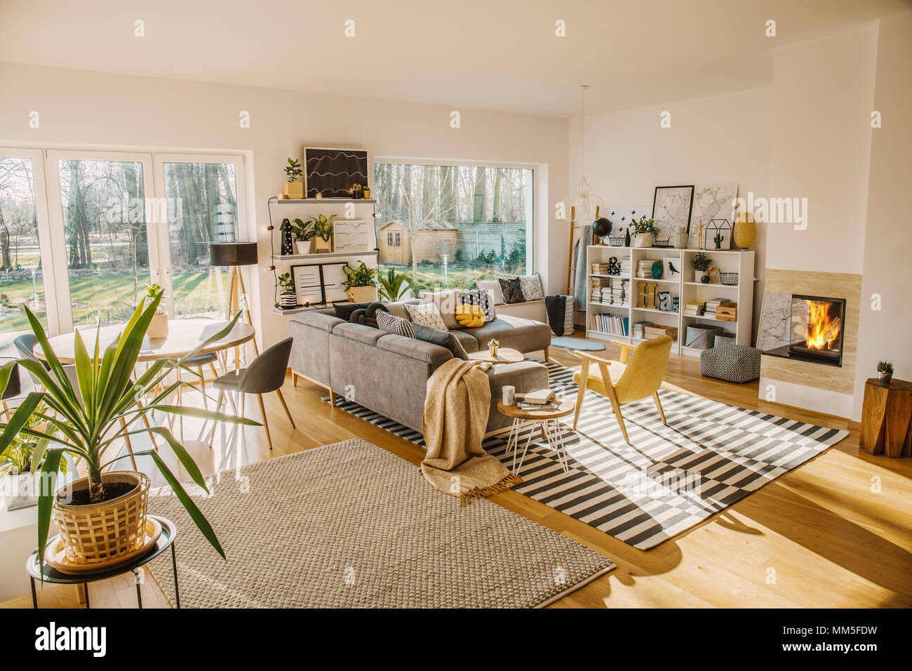 Two carpets on the floor in white Scandi living room interior with big  window, glass door, corner sofa, fireplace and fresh plants Stock Photo -  Alamy