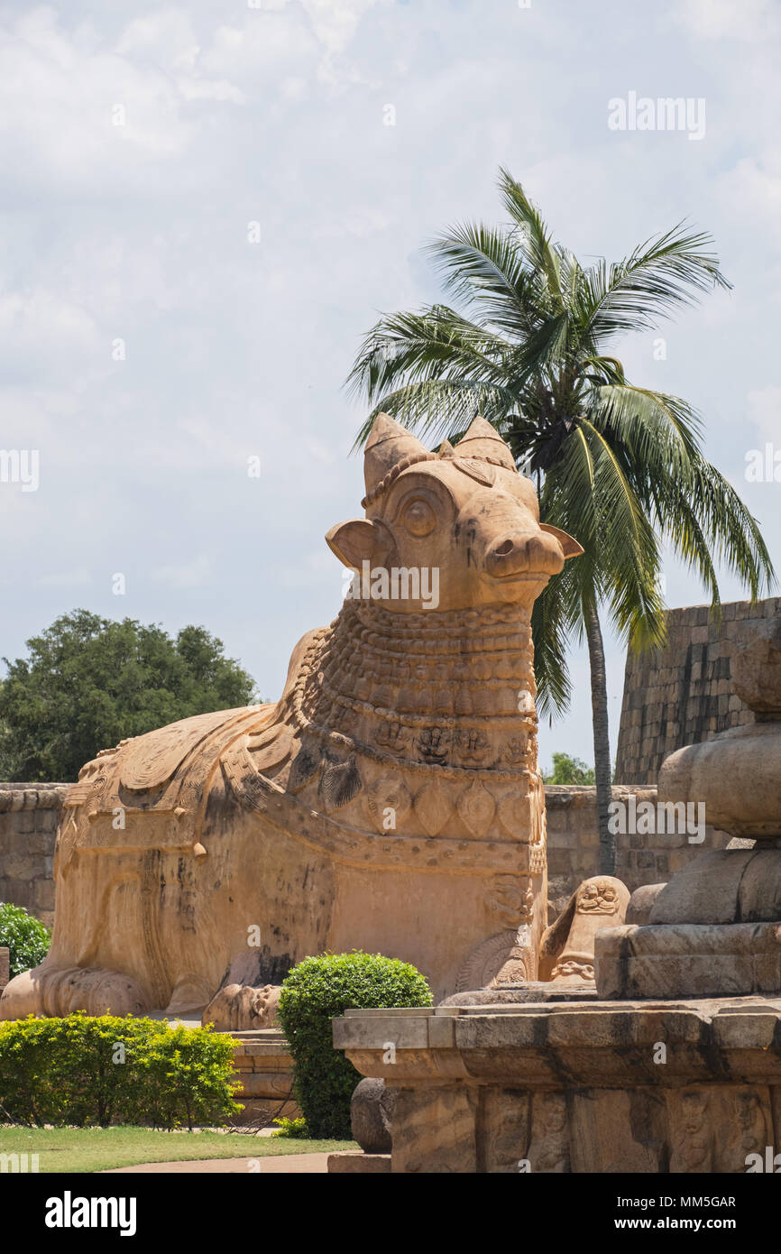 lord shiva nandi high resolution stock photography and images alamy https www alamy com sculpture of the mythical bull nandi facing the shrine to his master lord shiva at the 11th century brihadeeswarar temple at gangaikondacholapuram image184519407 html