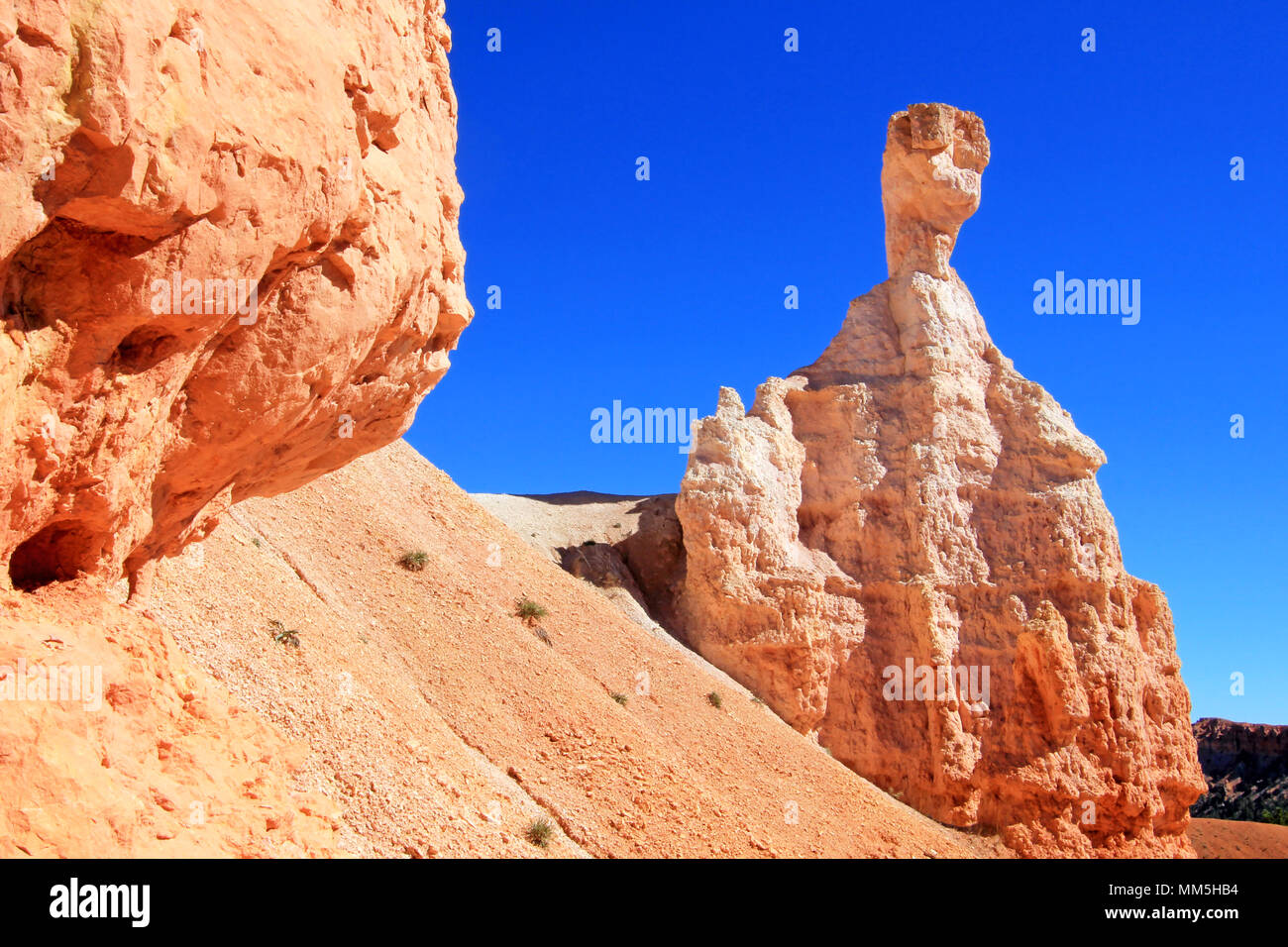 Hoodoo at Queens Garden in Bryce Canyon National Park, Utah, United States Stock Photo