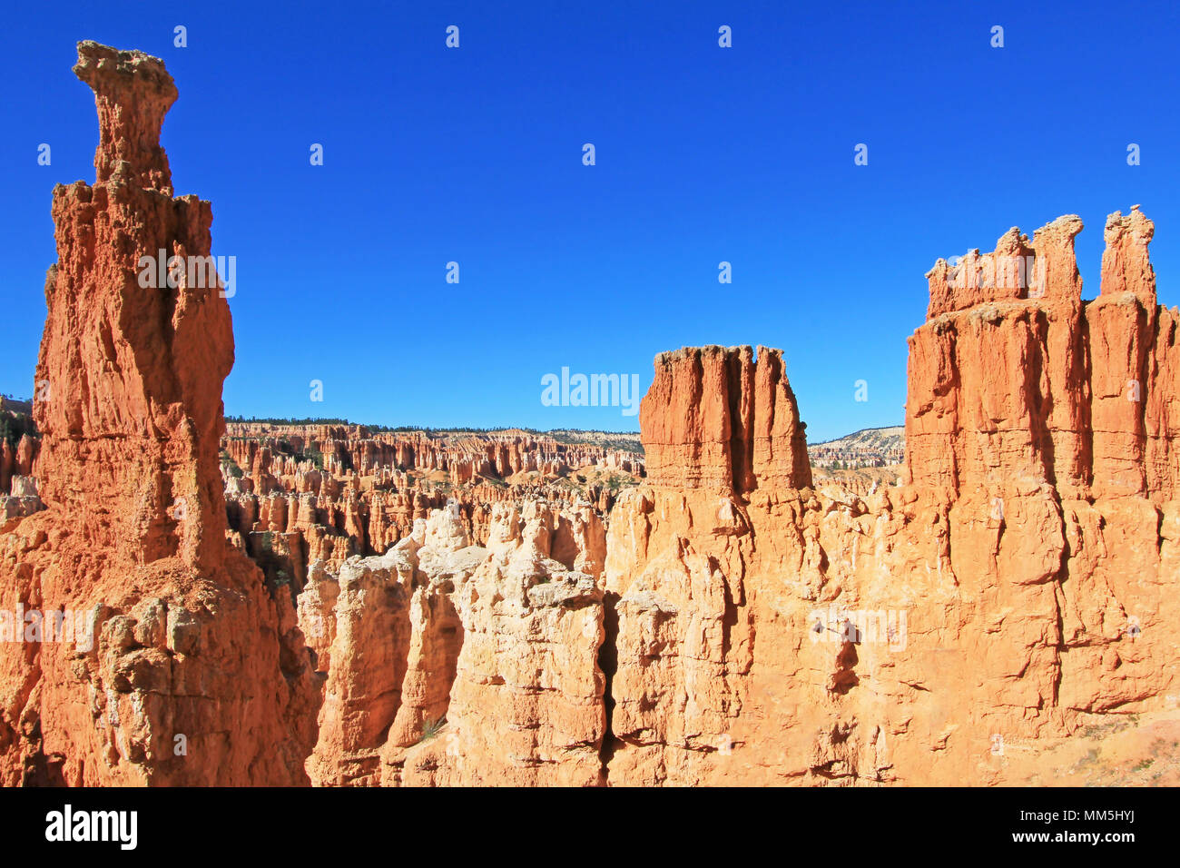 Thor's Hammer in Bryce Canyon National Park, Utah, United States Stock