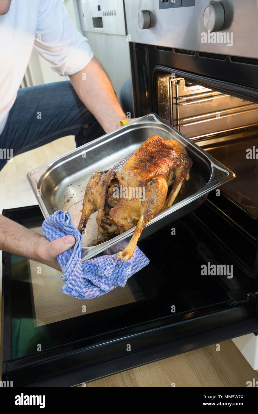 Chef taking christmas poultry out of oven in the kitchen Stock Photo