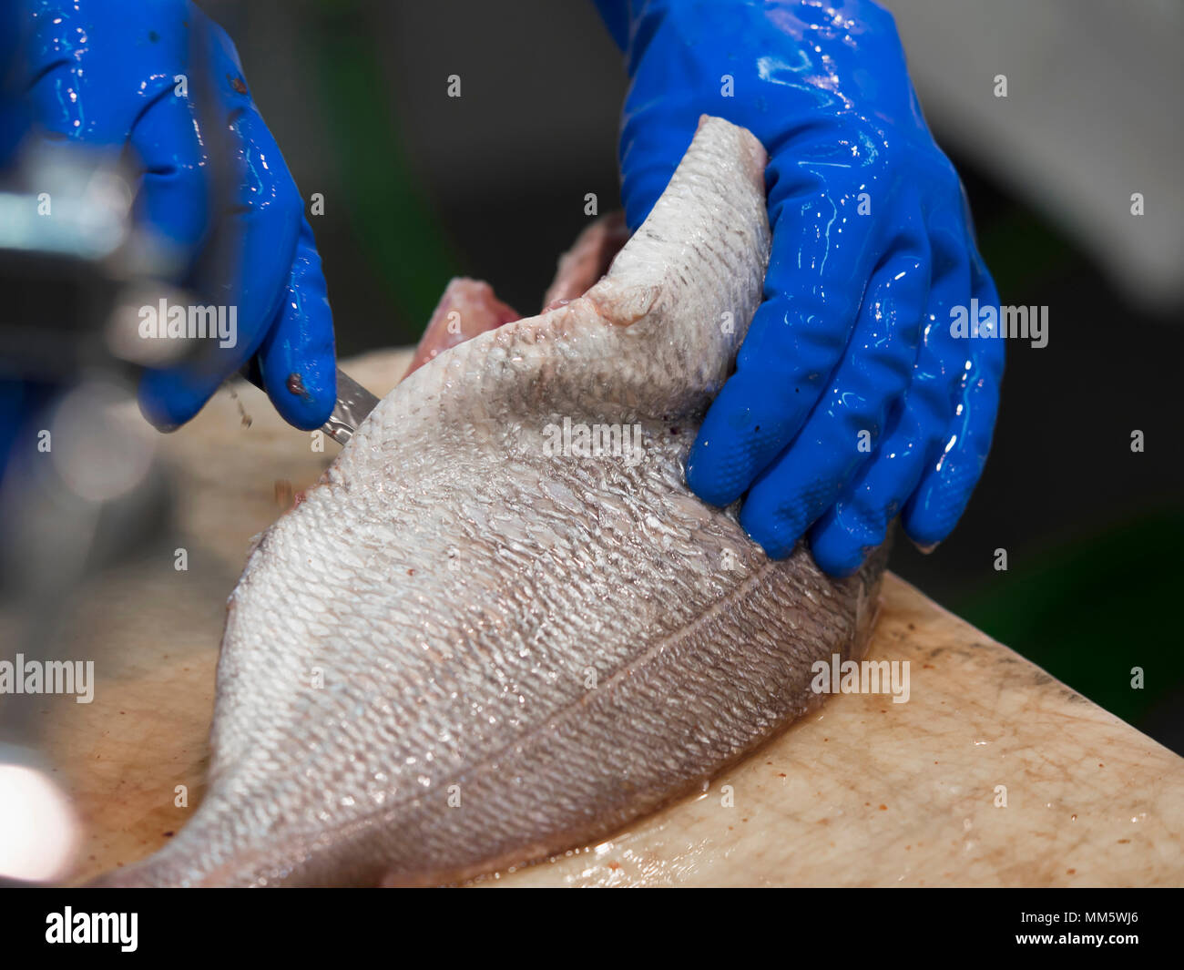 Close-up of man cutting fish with knife Stock Photo