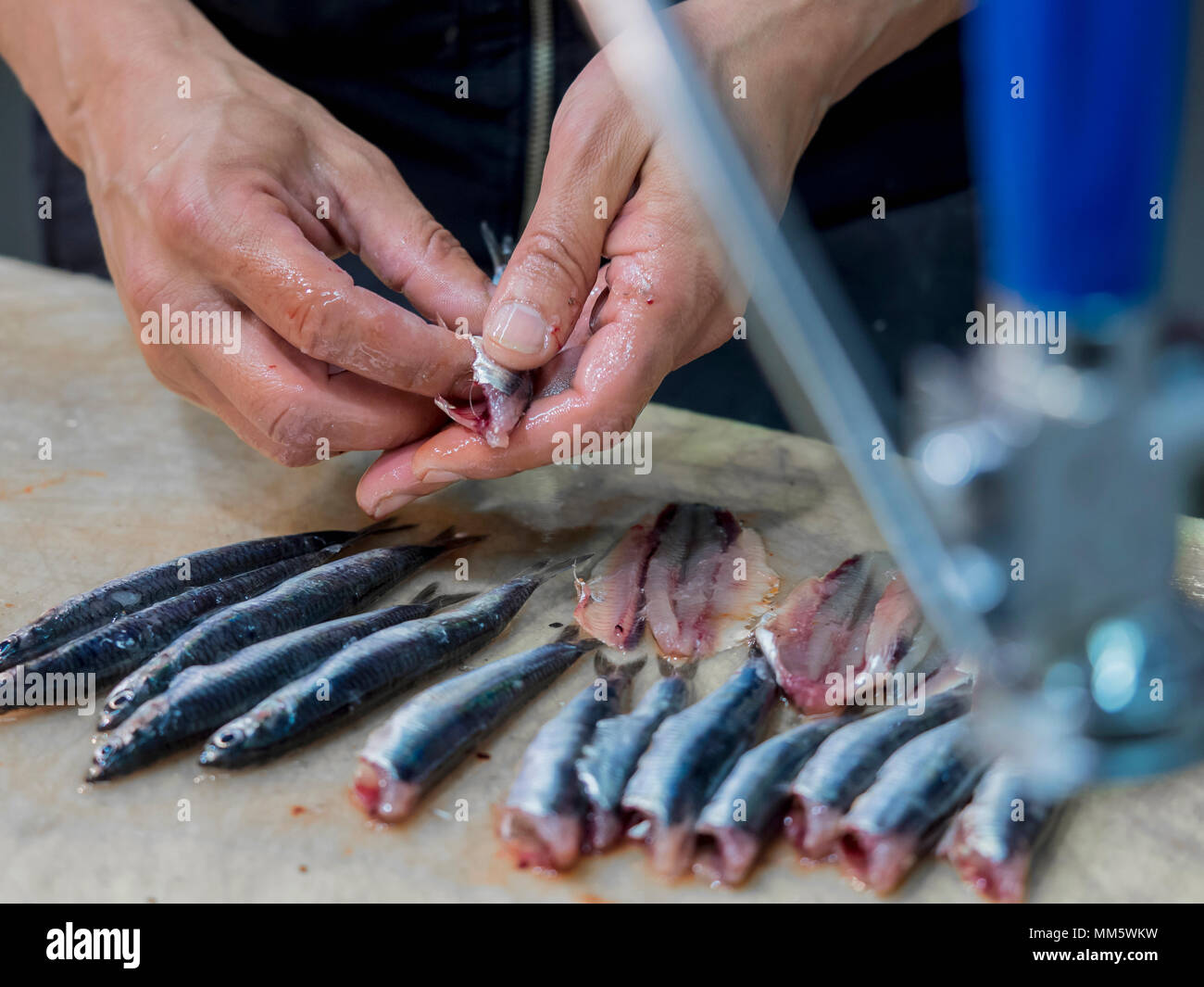 Closeup of man cleaning anchovy fish Stock Photo Alamy