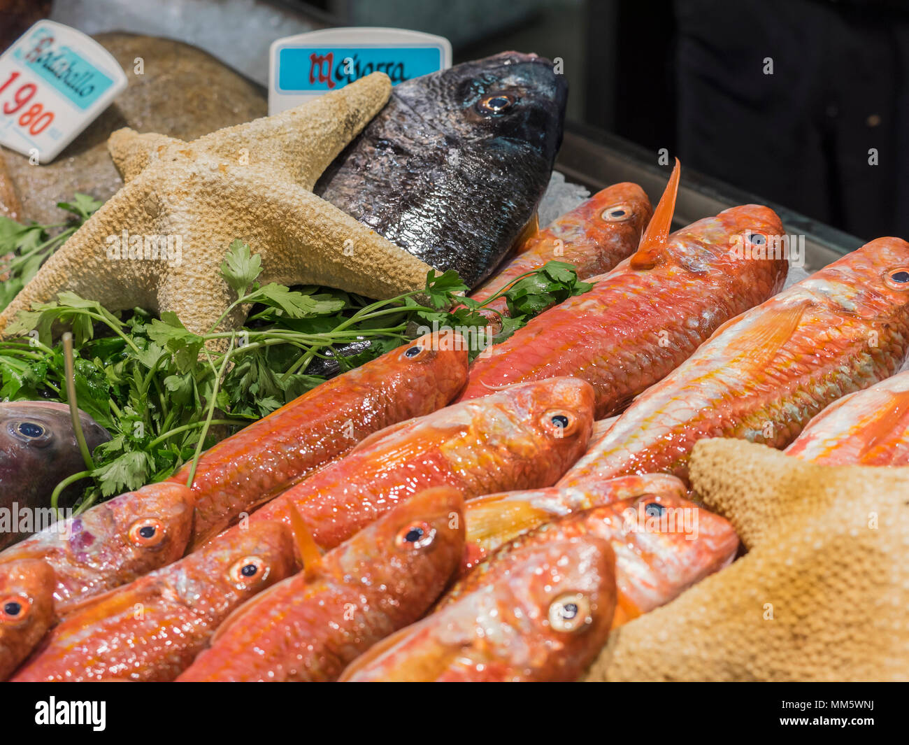 fresh-seafood-for-sale-at-fish-market-stock-photo-alamy