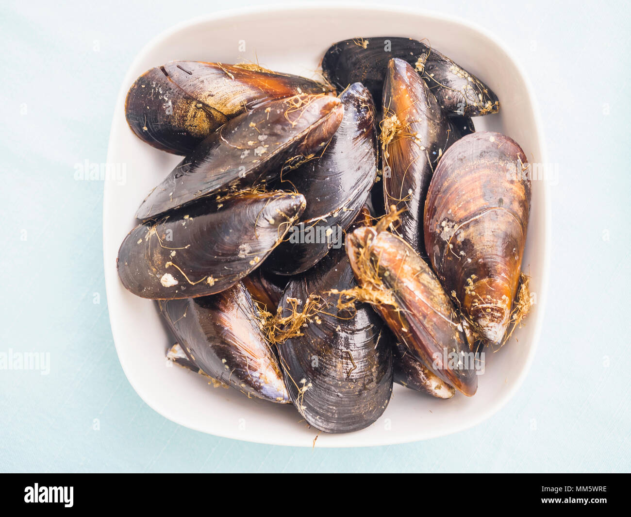 Bowl of fresh mussels Stock Photo Alamy