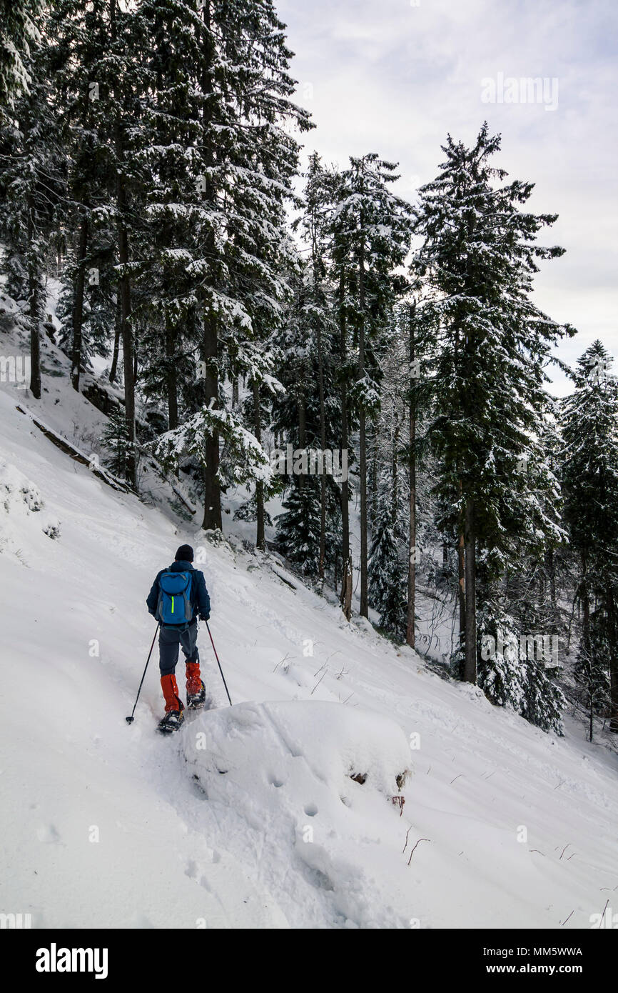 Man hiking with snowshoes in the Black forest, Mount Kandel, Baden-Württemberg, Germany Stock Photo