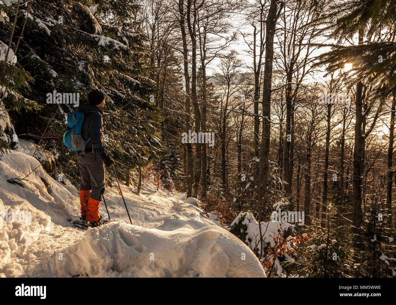 Man hiking with snowshoes in the Black forest, Mount Kandel, Baden-Württemberg, Germany Stock Photo