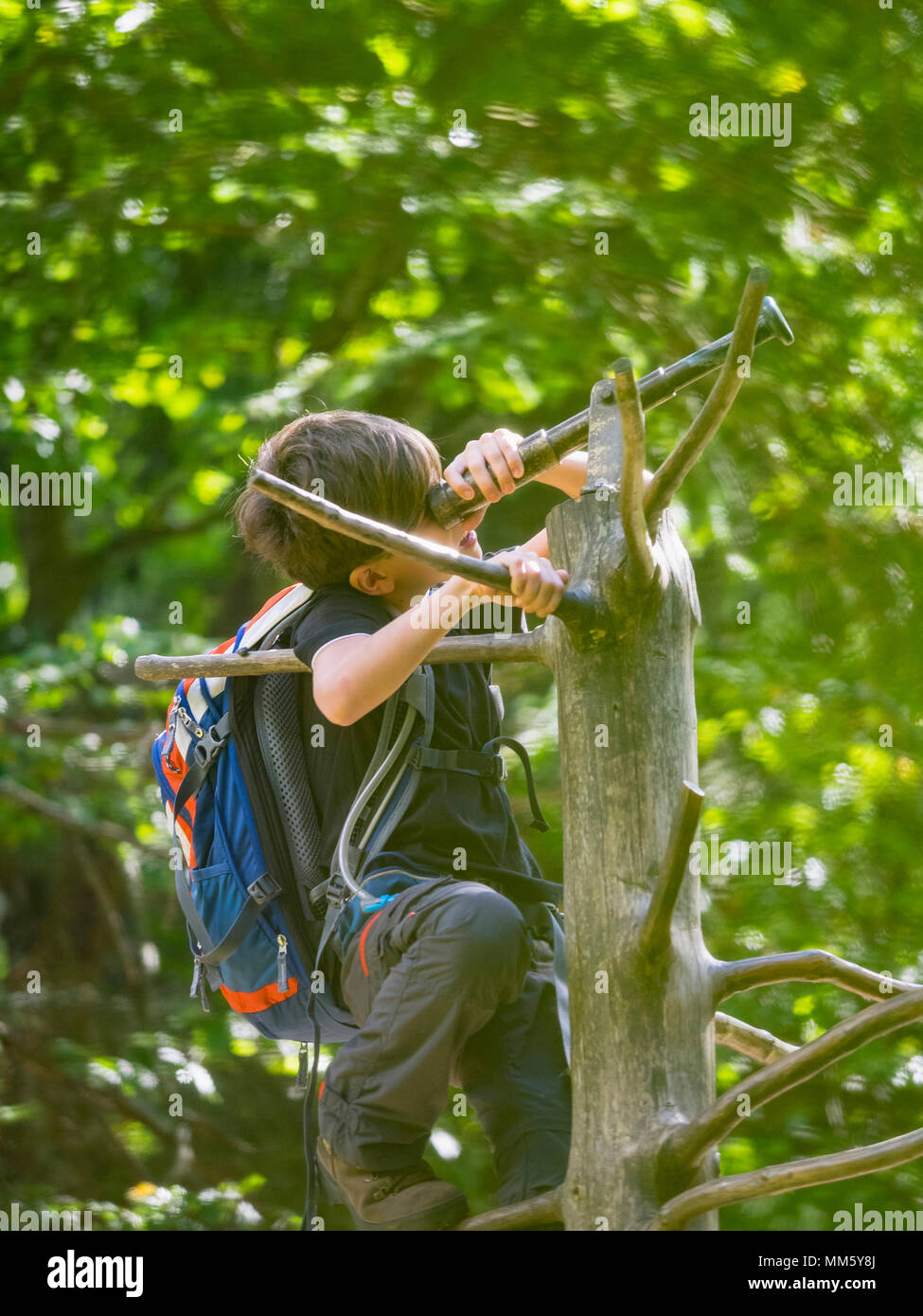 Girl climbing tree and looking through telescope in black forest, Feldberg, Baden-Württemberg, Germany Stock Photo