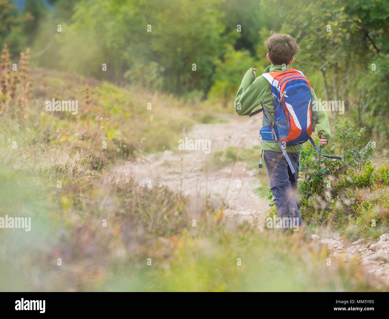 singletrail baden württemberg
