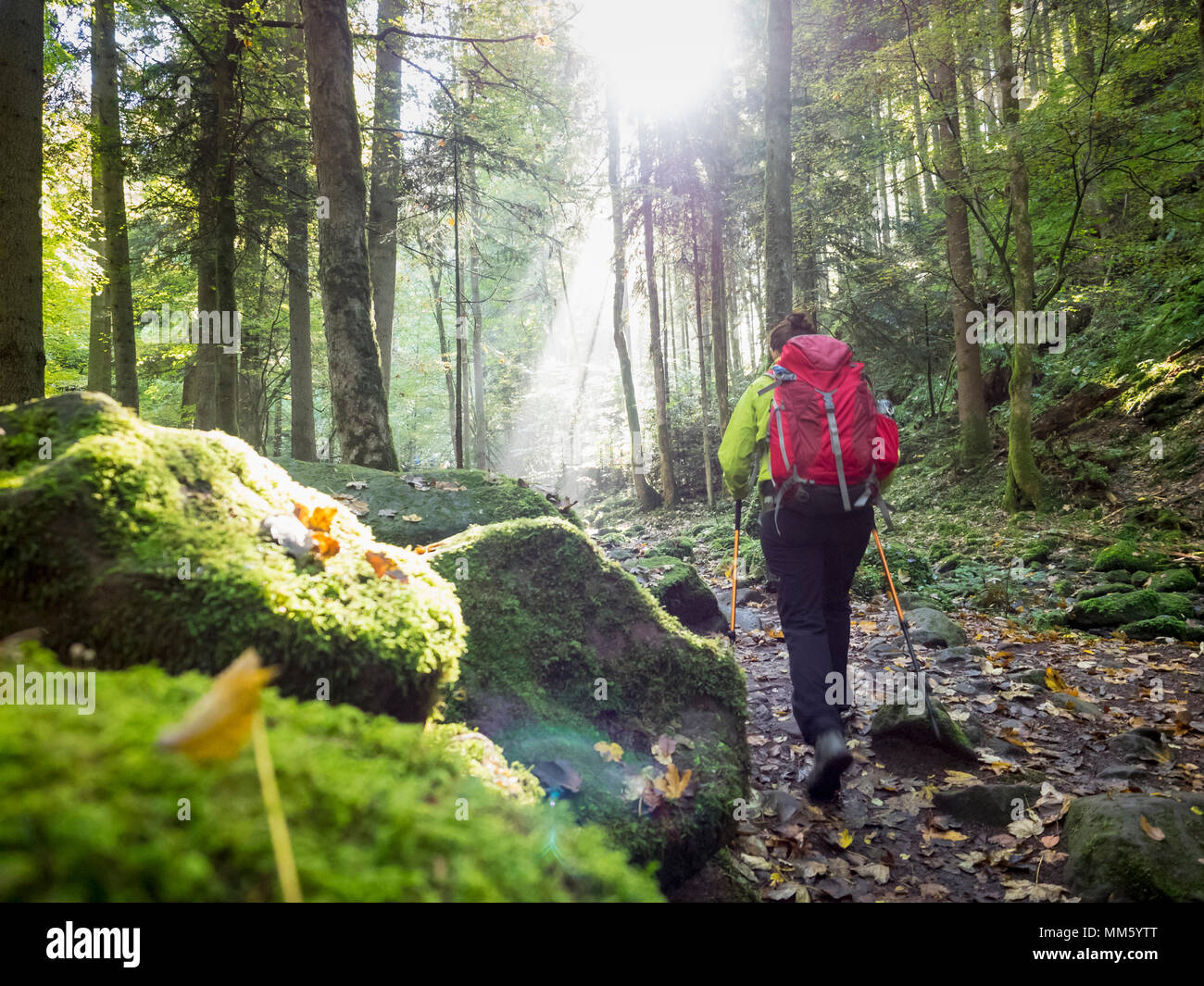 hiking black forest