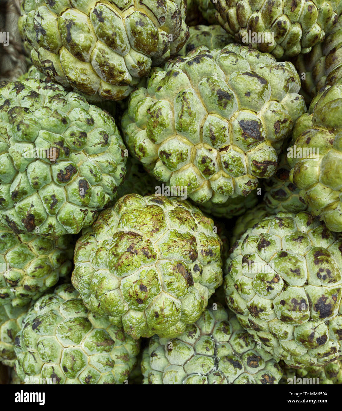 Vegetables and fruits in Indian Bazaar. Noyna, sugar Apple, Annona