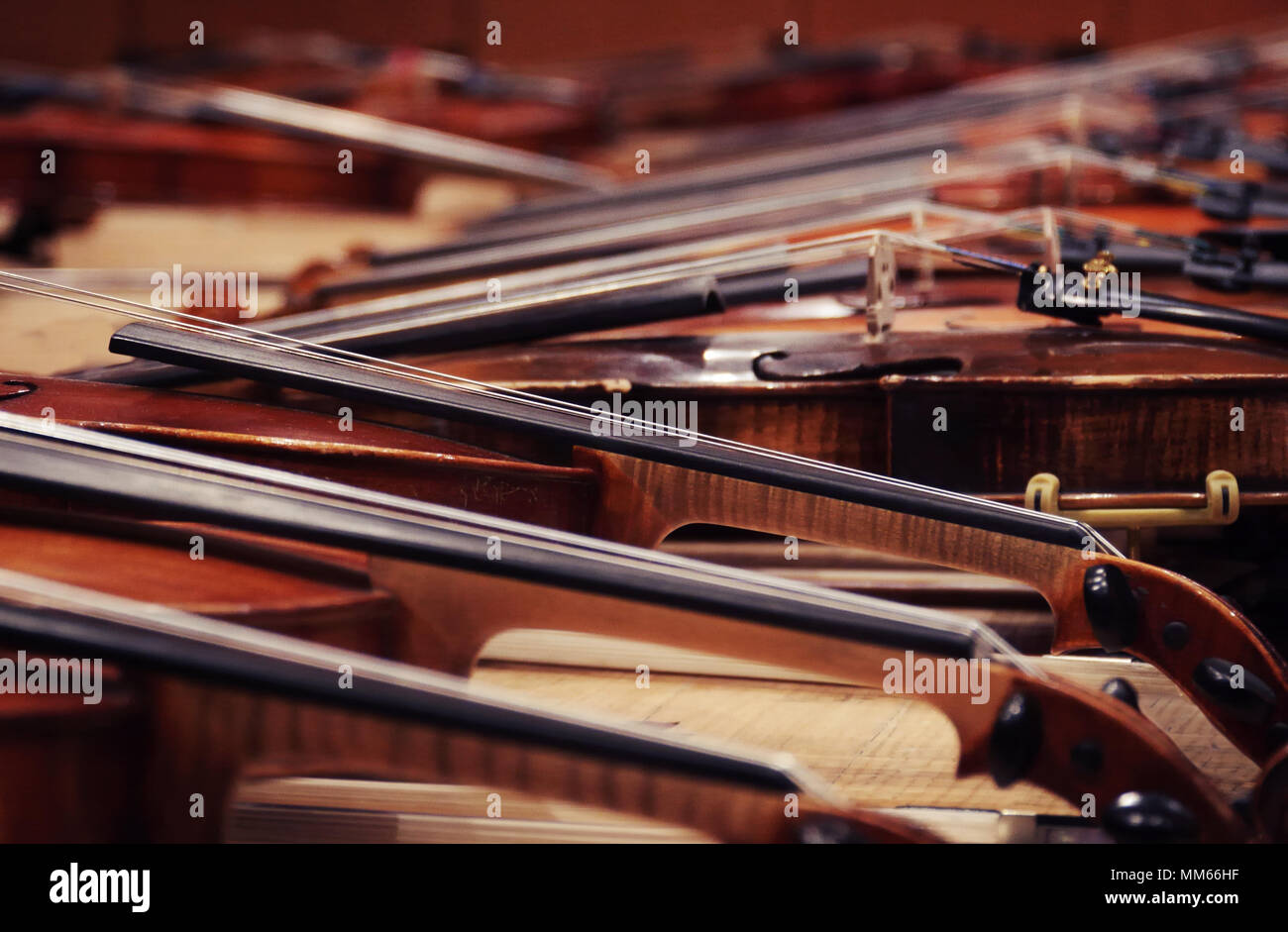 Violins Violin Geige Geigen Strings Orchestra Concert Instrument Stock Photo