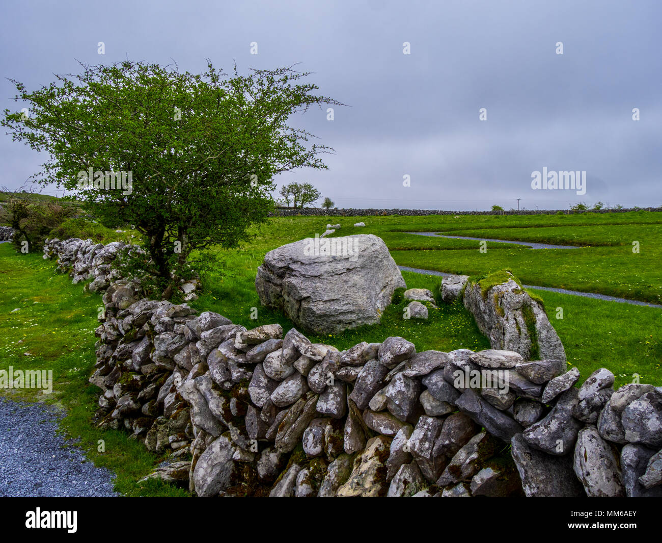 Typical Irish road through the nature Stock Photo Alamy