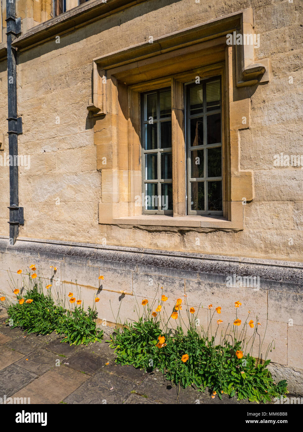 Front Quadrangle, All Souls College, University of Oxford, Oxfordshire, England, UK, GB. Stock Photo