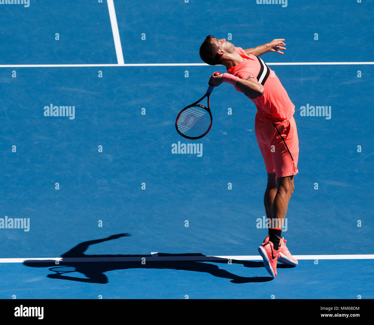 Dimitrov shoes australian open cheap 2018