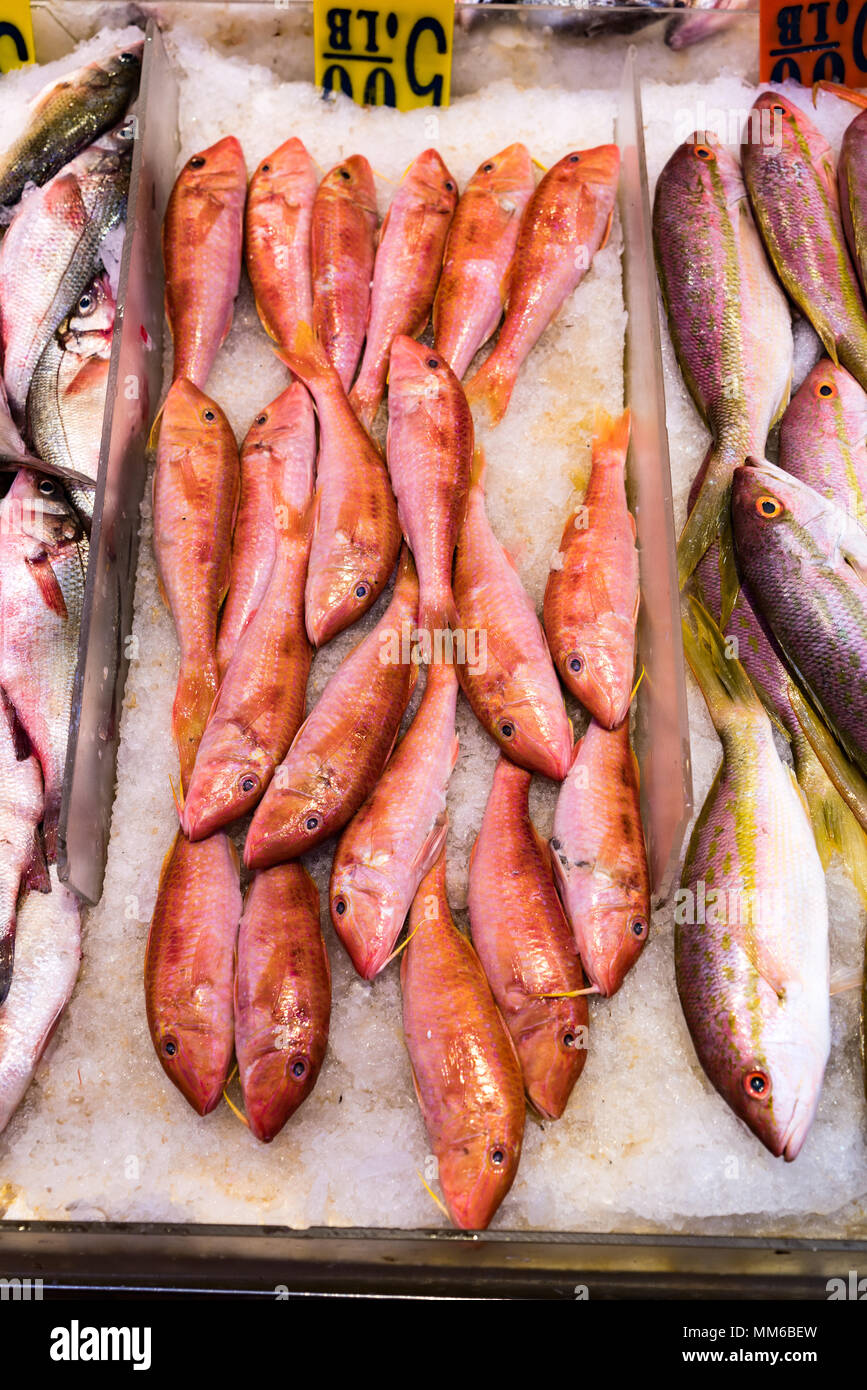 Red Fish on Ice for Sale at Market Stock Photo