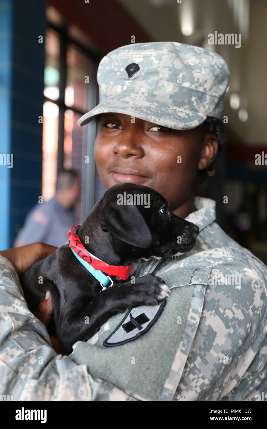 Spc. Camary Perkins, who serves with the 39th Brigade Support Battalion, Arkansas Army National Guard, holds a puppy that was delivered to its owner at the Sterling Pruitt Activity Center in Beaumont, Sept. 10 2017. The Arkansas Guardsmen, Texas Stat Guard and the Beaumont Fire Rescue Team, escorted 356 evacuees who had been shuttled from a shelter in Dallas Texas, to either what was left of their homes or to another shelter closer to home in Beaumont. Stock Photo