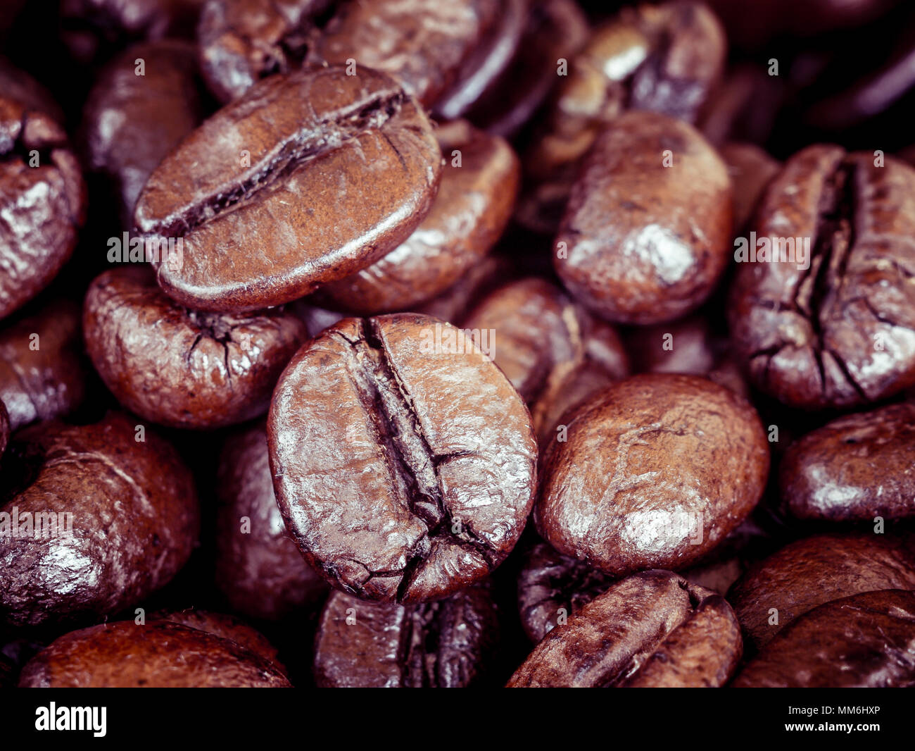 Coffee Beans with filter effect retro vintage style Stock Photo - Alamy