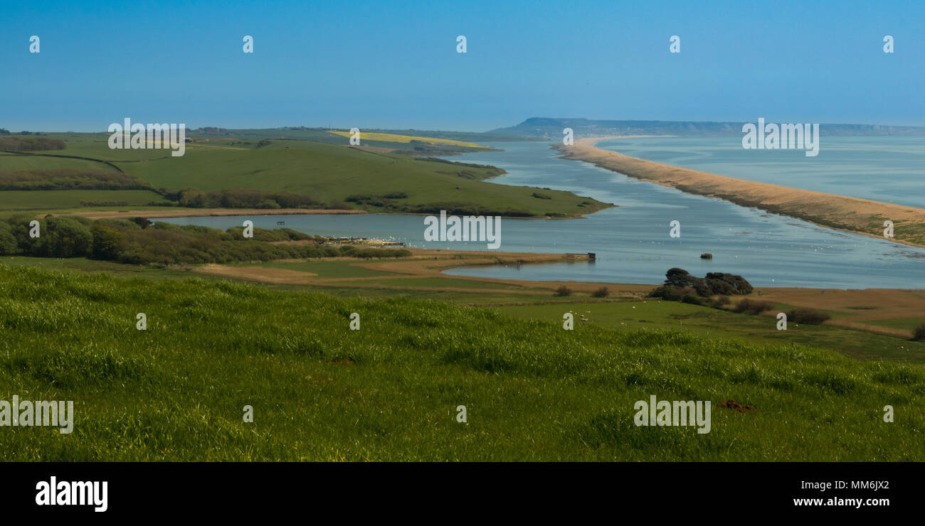 Chesil beach landscape from Abbotsbury Subtropical gardens viewpoint