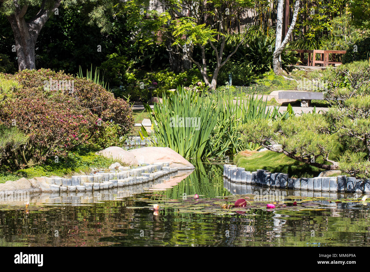 Japanese Garden Landscape with Koi Pond Stock Photo