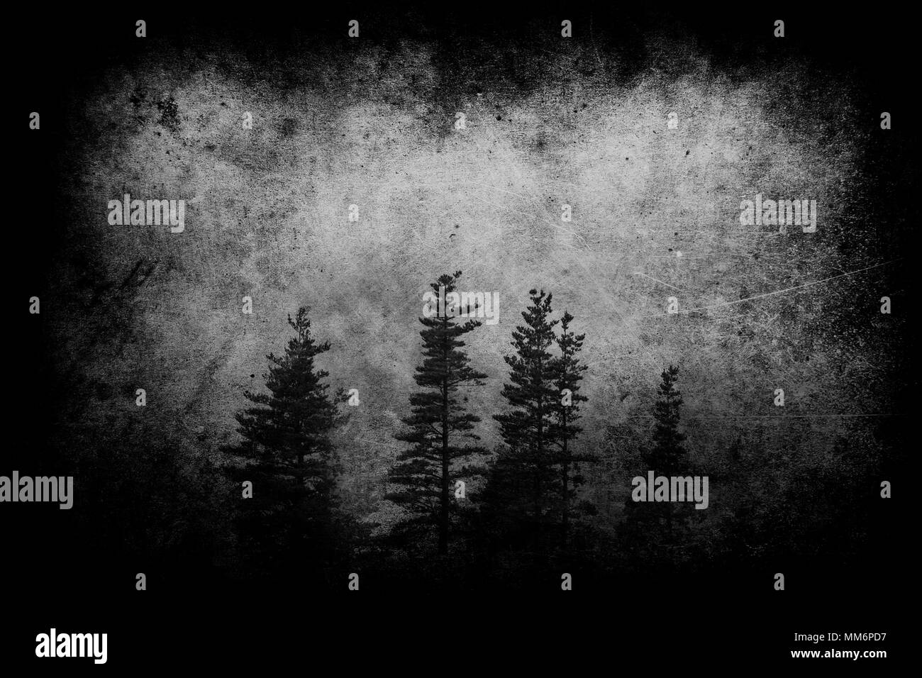 dark landscape with foggy forest at night and grungy textures. Black and white Stock Photo