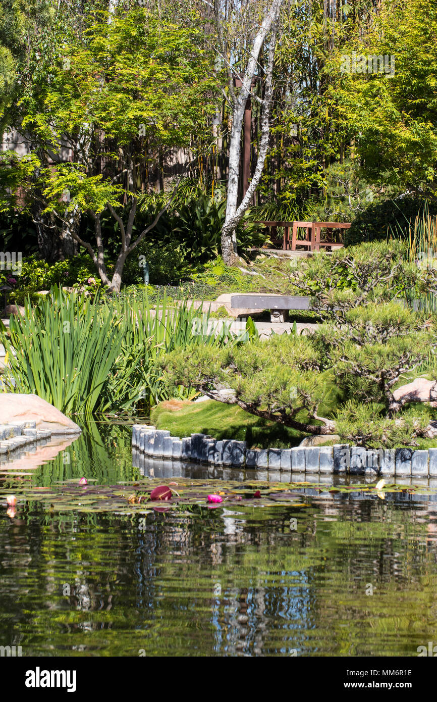 Japanese Garden Landscape with Koi Pond Stock Photo
