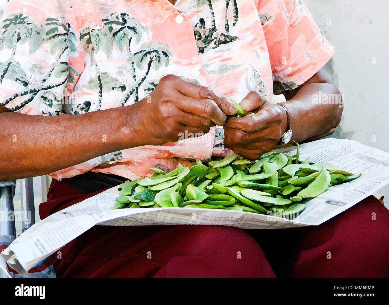 The Butterbean Lady. African-American local farmer lady shelling butter beans at Richmond, Virginia farmers market. Stock Photo