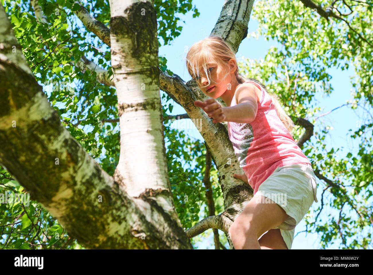Child girl playing climbing on a tree in a summer park outdoor. Concept of healthy play and development of the child in nature Stock Photo
