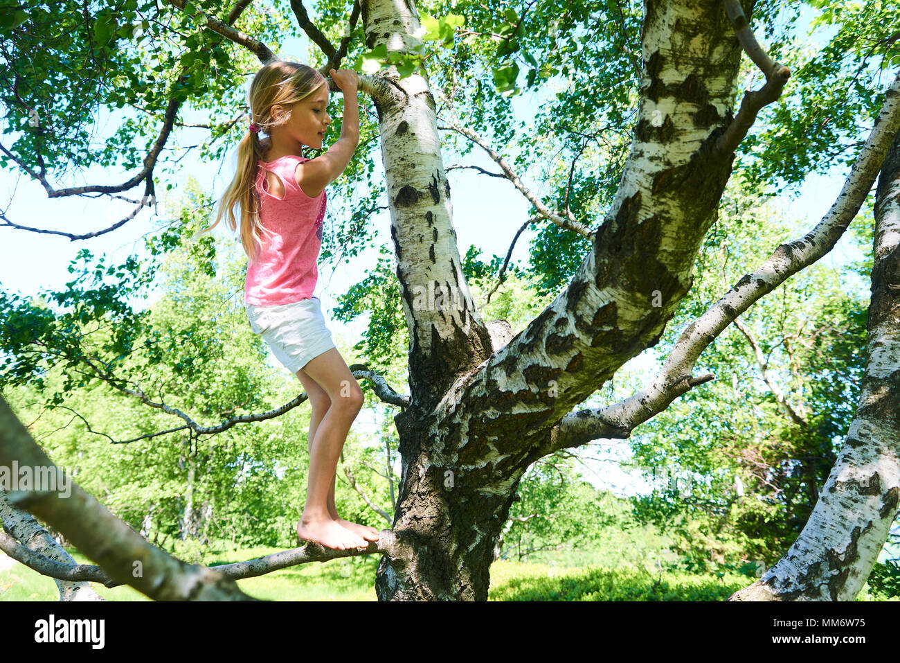 Child girl playing climbing on a tree in a summer park outdoor. Concept of healthy play and development of the child in nature Stock Photo