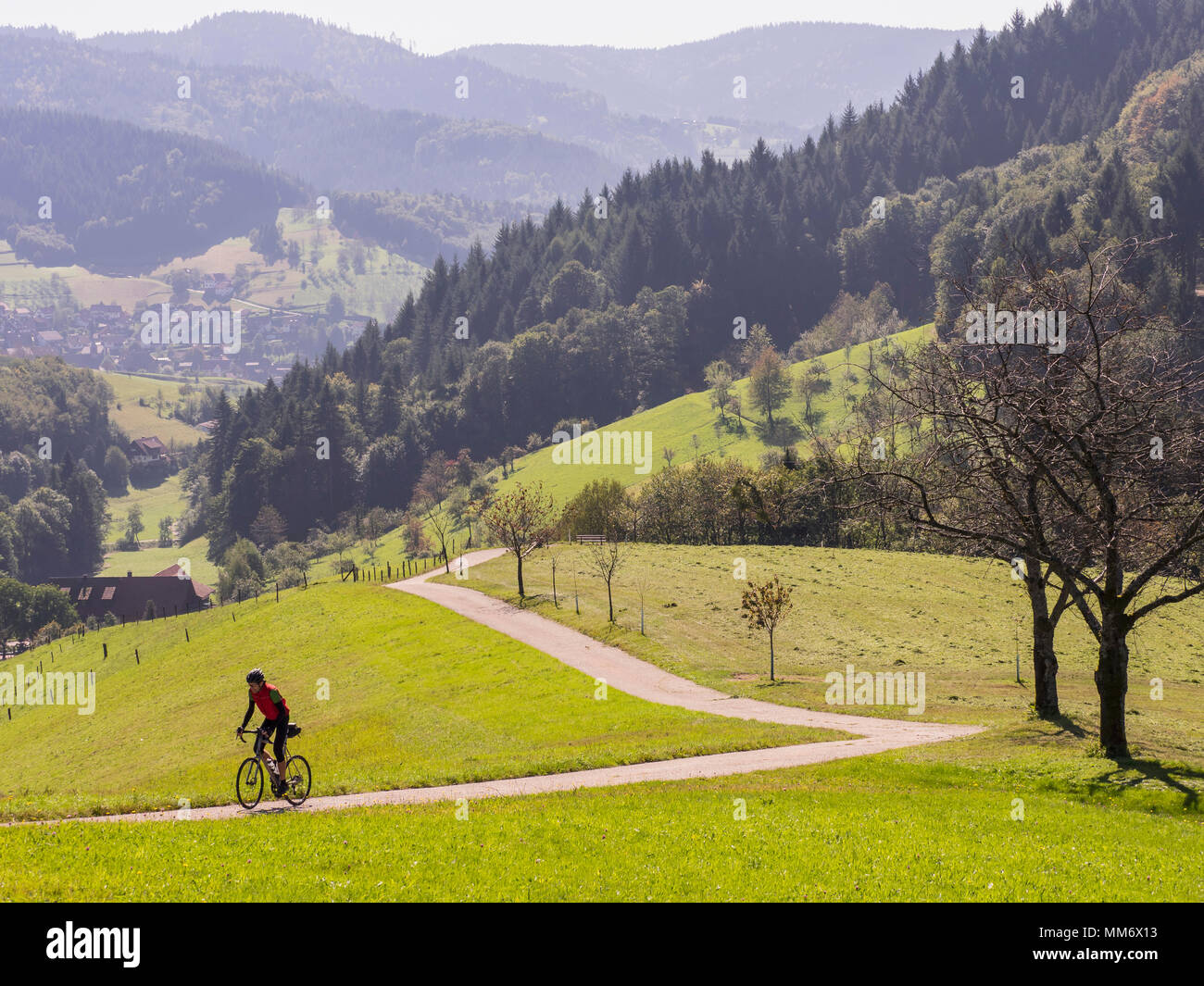 Man riding racing bicycle on cycling tour in the Northern Black Forest