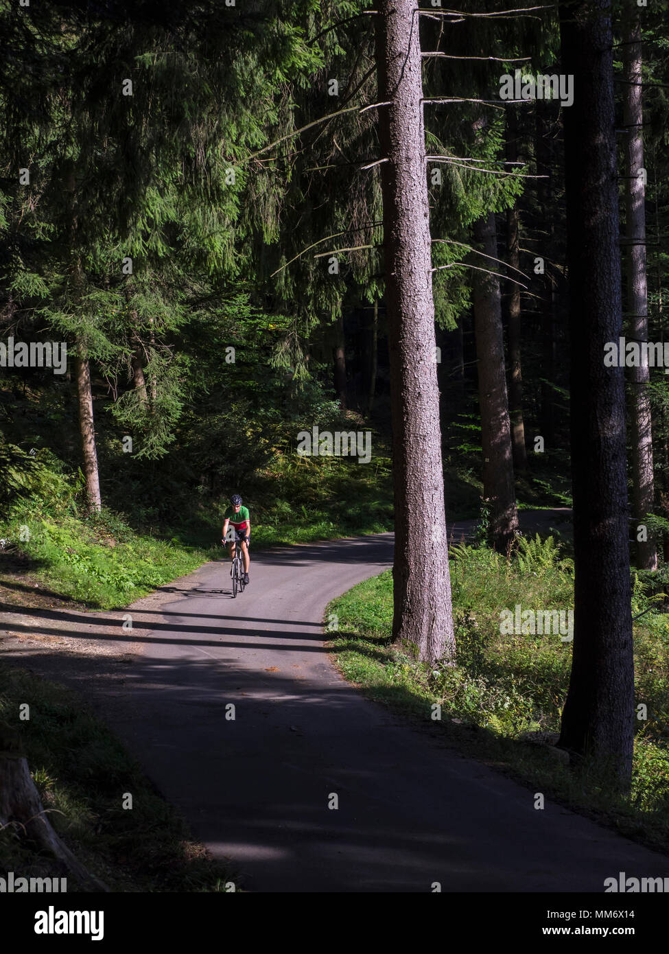 Man riding racing bicycle on cycling tour in the Black Forest, Germany Stock Photo