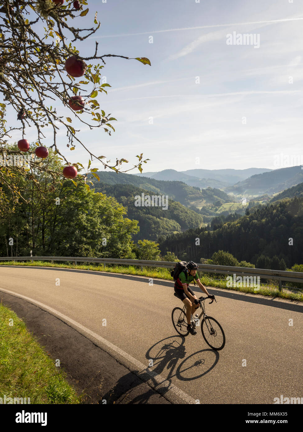 Man riding racing bicycle on cycling tour in the Northern Black Forest, Germany Stock Photo