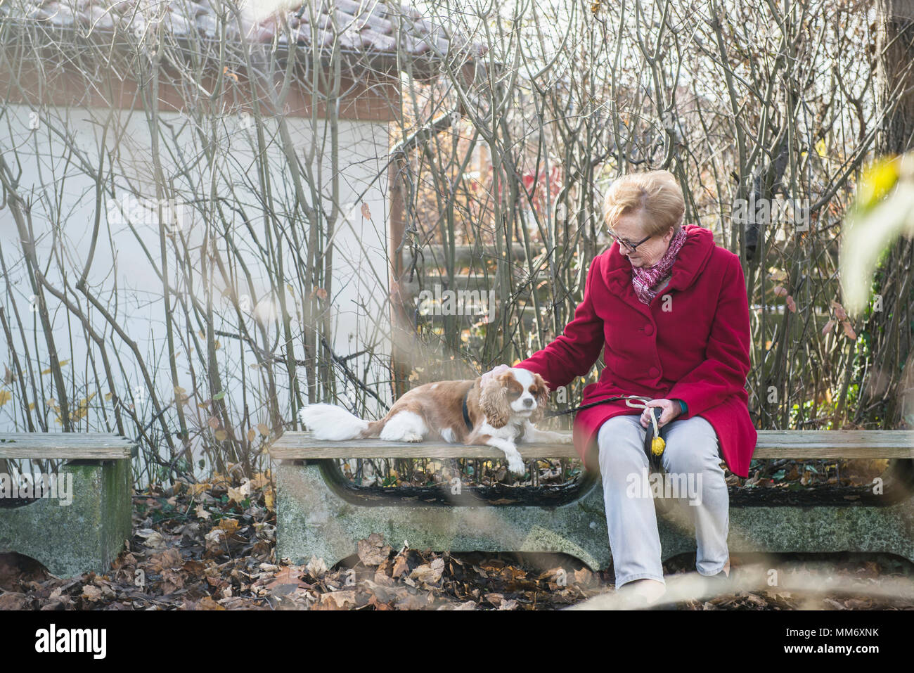 Woman park bench dog lap hi-res stock photography and images - Alamy