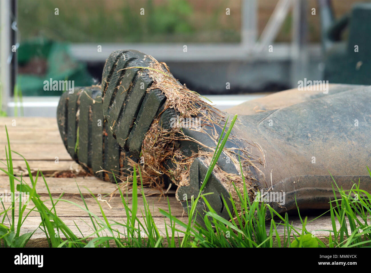 A day in the garden, wellie boots abandoned on old wooden decking Stock Photo