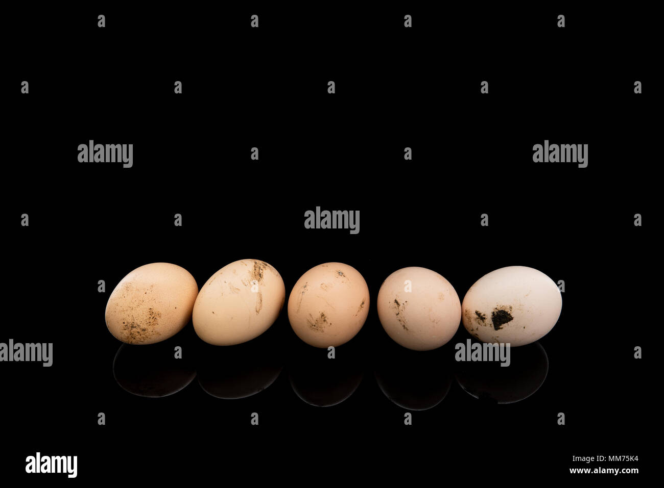 Fresh raw and dirty egg homemade chicken, isolated on black background