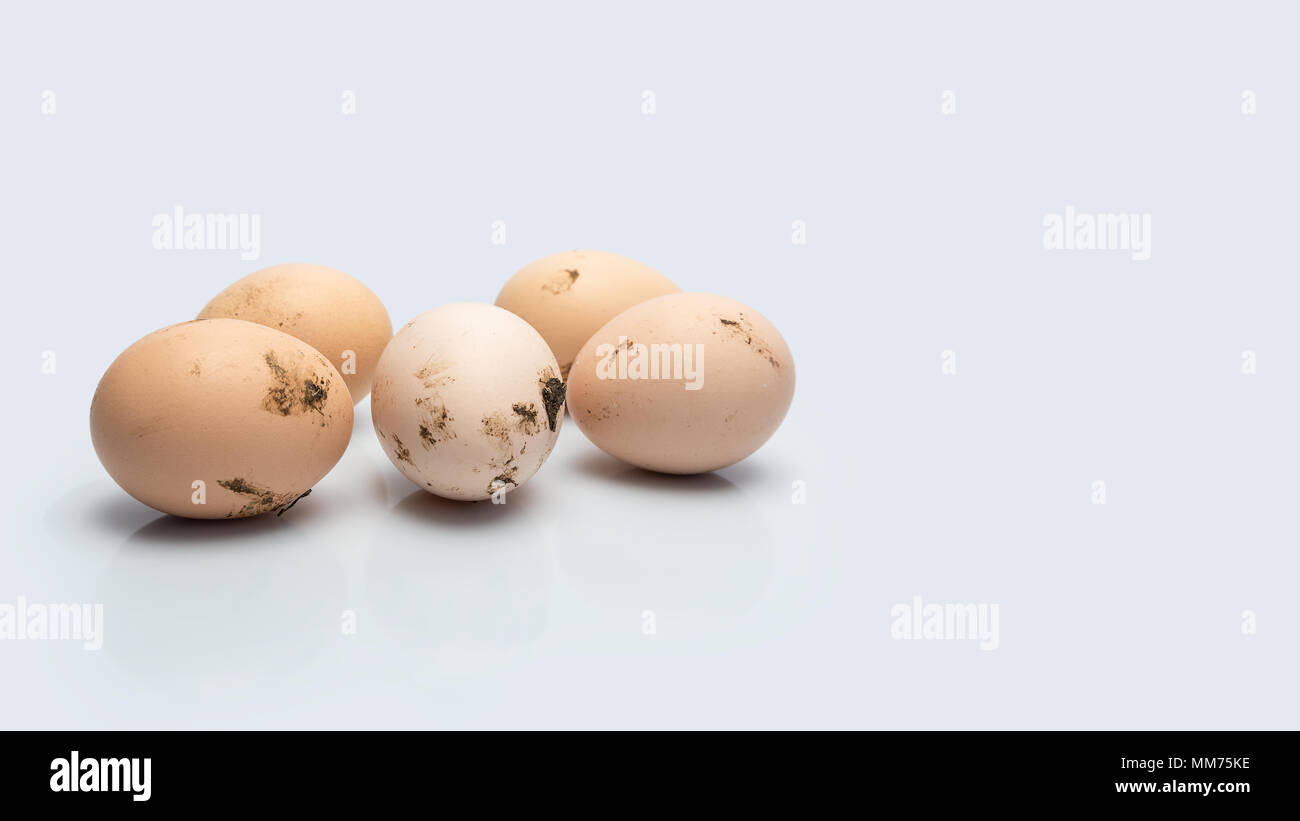 Fresh and dirty chicken eggs, on white background with reflection